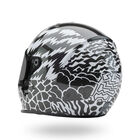 Eliminator Carbon