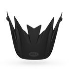 Sanction Visor