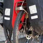 Outpost Rear World Touring Rack