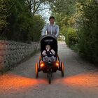 Grid Side Light Set