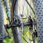 EX-1 Disc Rear Rack