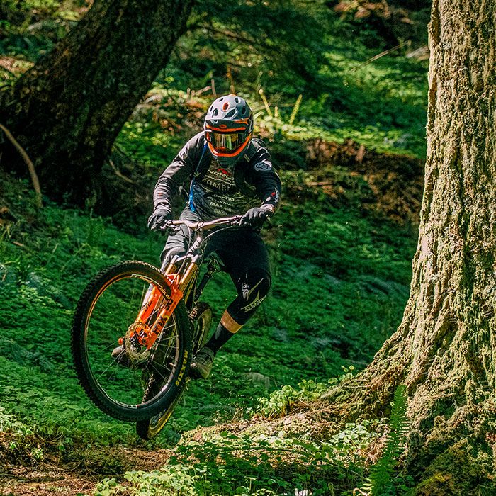 bell downhill