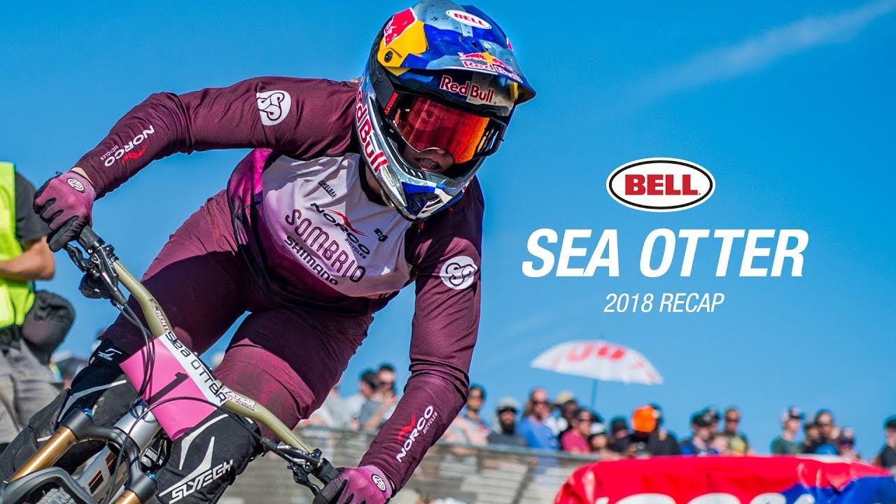 Hang with Us at Sea Otter